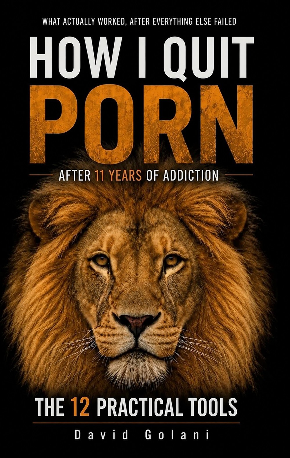 Book cover: How I Quit Porn after 11 years of addiction — The 12 Practical Tools, by David Golani.
